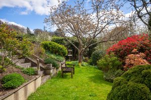 Garden- click for photo gallery